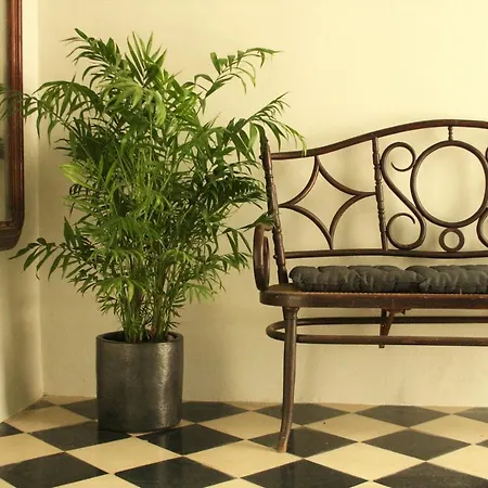 בית הארחה Siete Balcones Y Un Patio *