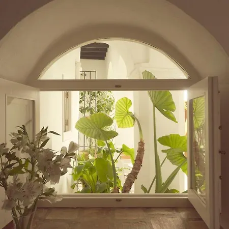 Siete Balcones Y Un Patio בית הארחה *